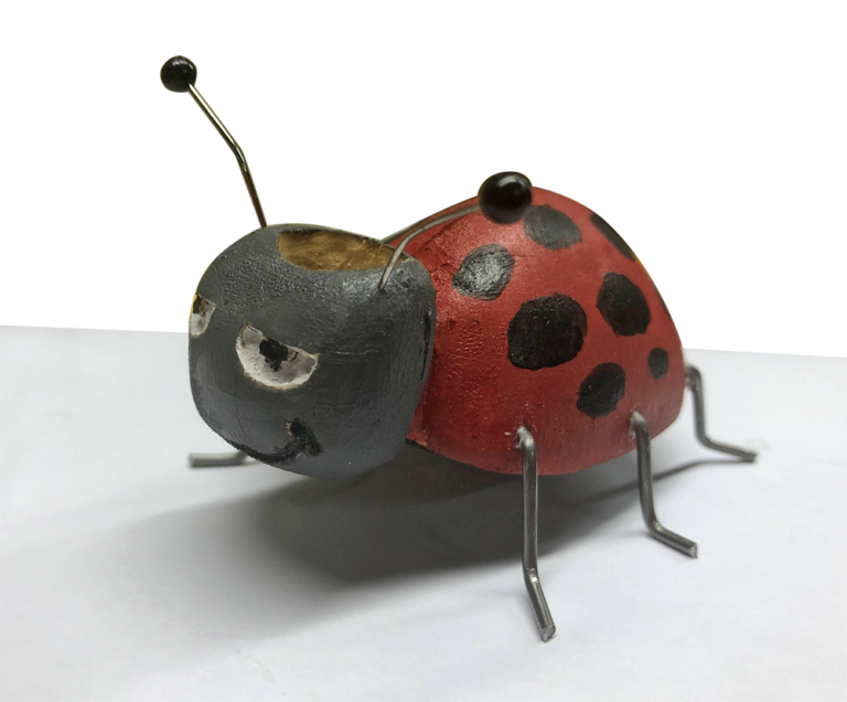 A red and black ladybug with a face on it.