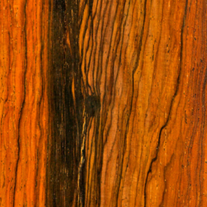 A close up of the wood grain on a tree.