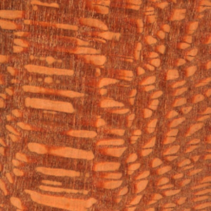 A close up of the wood grain on a wall.